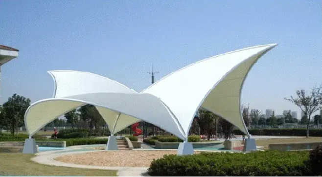 骨架膜结构的主要特点是什么？